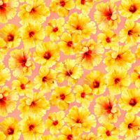 mmDCX13397-Bumble Bee